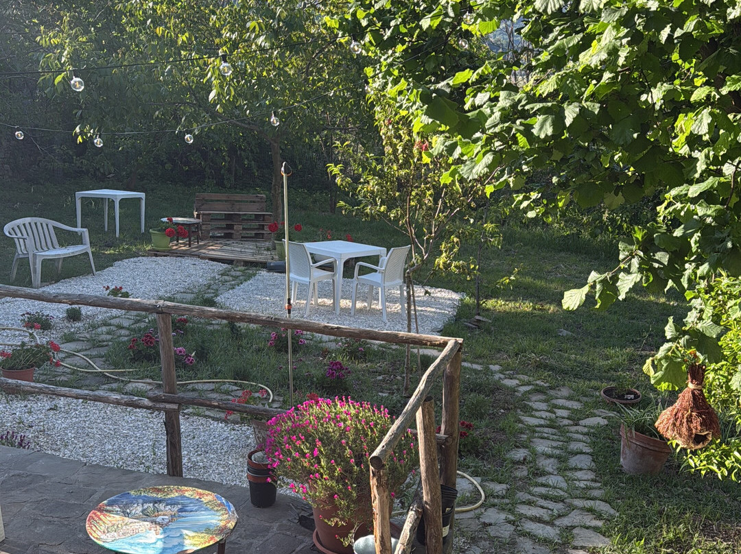 Il Giardino Segreto主图