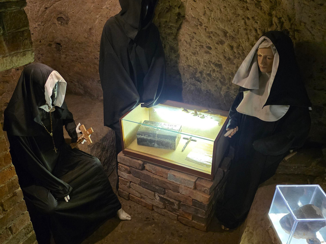 The Museum Of Curiosities-诺丁汉必去景点