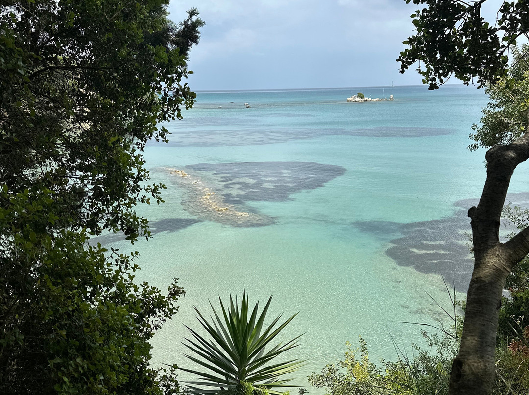 Captain Homer's Boat Trips-Messonghi必去景点