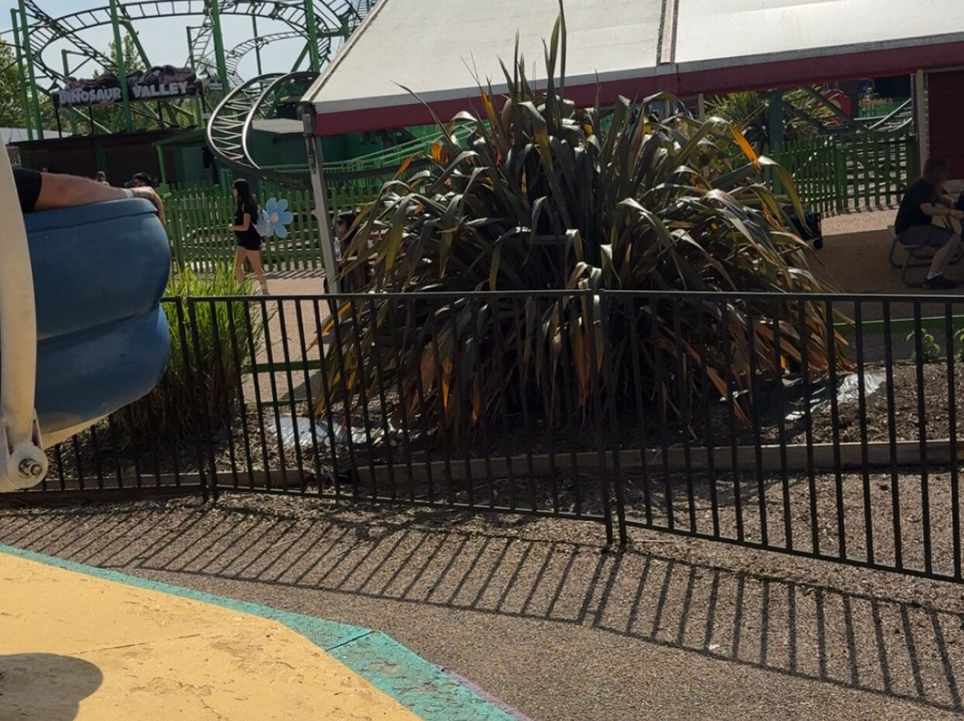 Wicksteed Park-凯特林必去景点