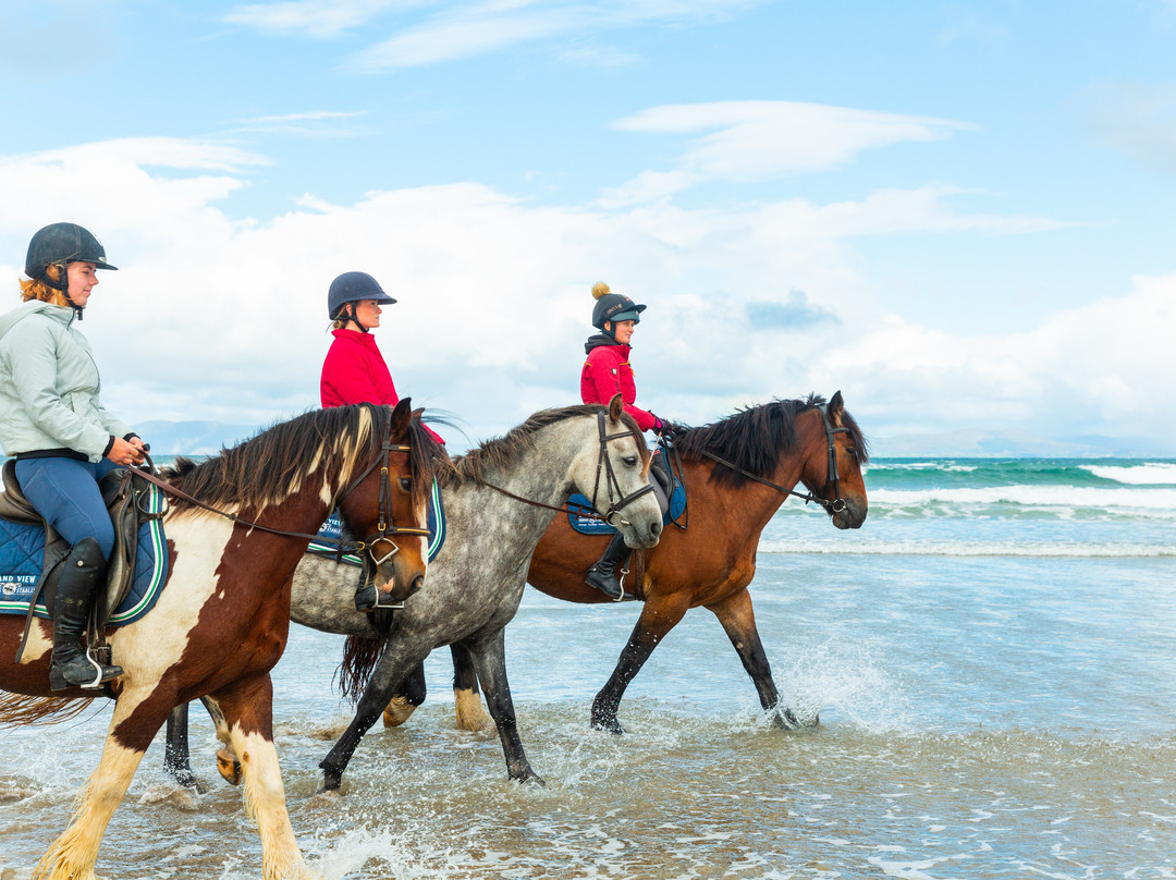 Island View Riding Stables-Grange必去景点