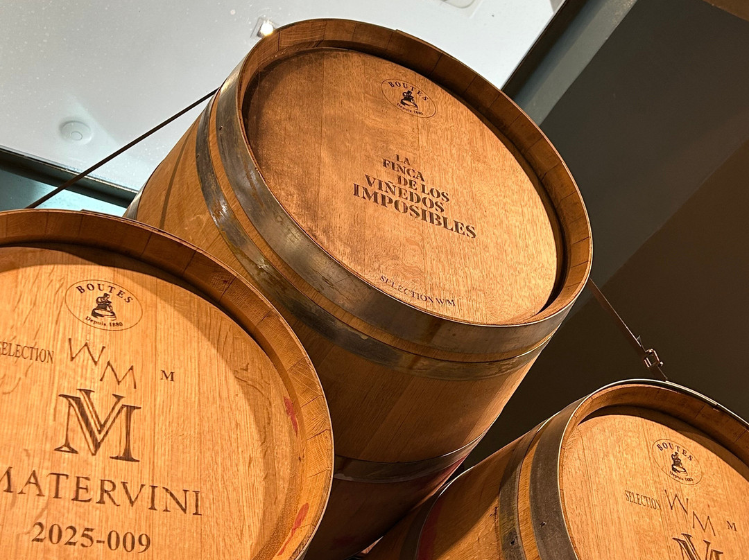 Bodega Matervini-路冉得库约必去景点