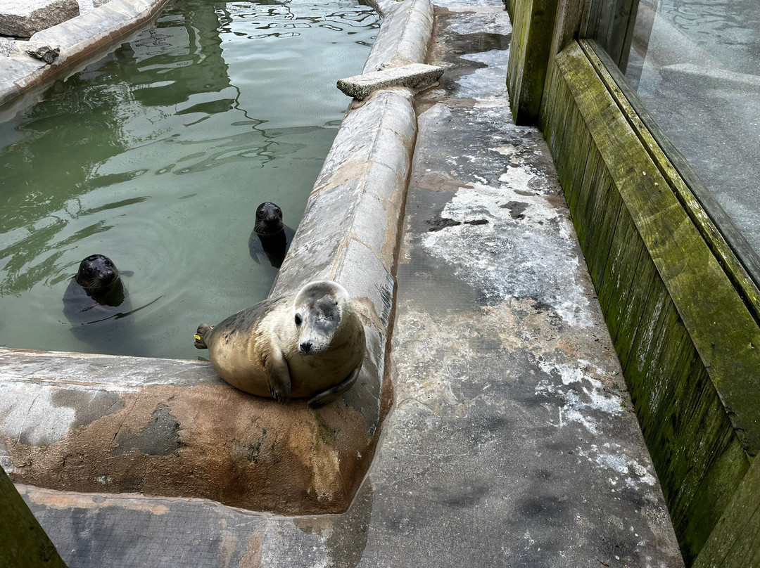 Cornish Seal Sanctuary-Gweek必去景点