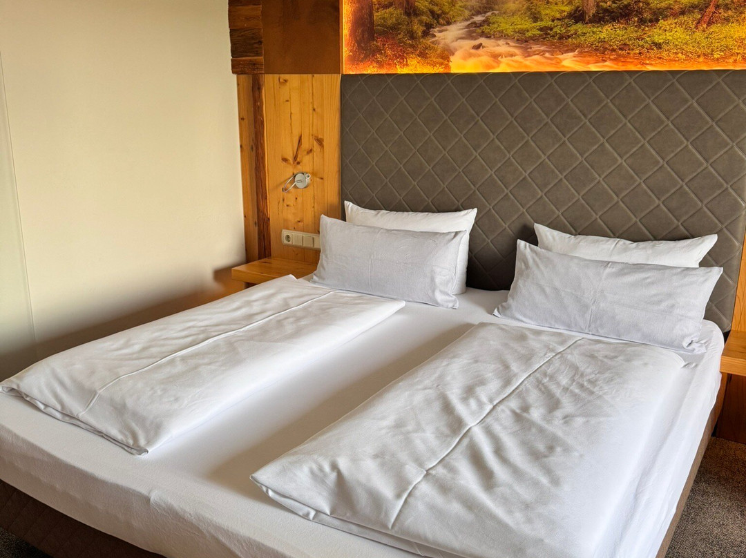 Wellnesshotel Zum Bräu主图