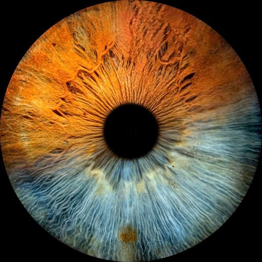 Iris Galerie Amsterdam Spiegelgracht-阿姆斯特丹必去景点