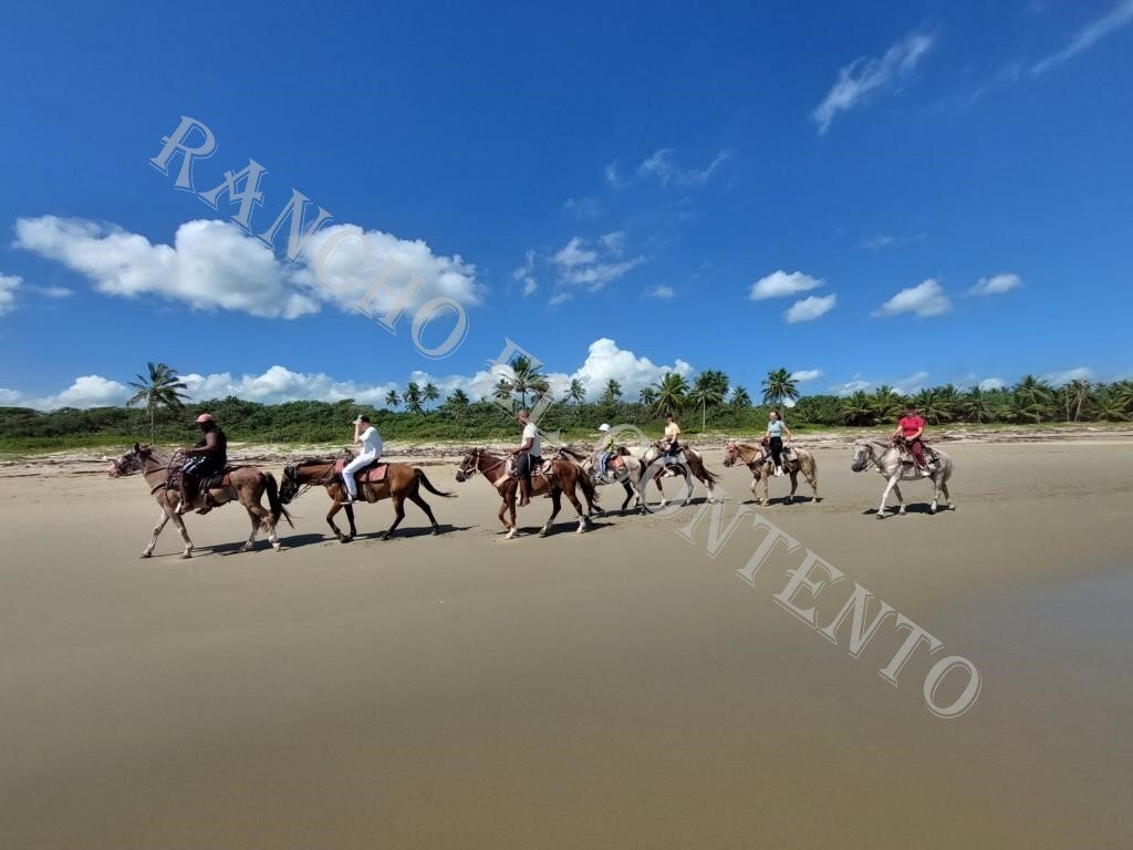 Rancho el Contento-Veragua必去景点