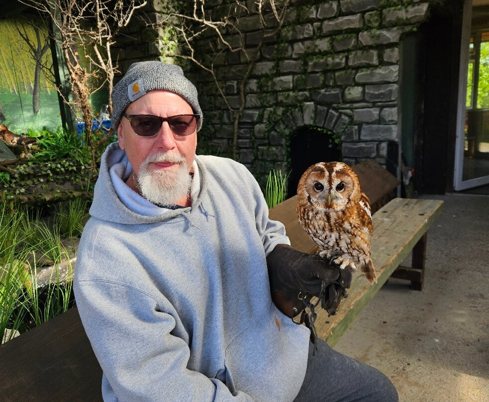 Mayfield Birds of Prey-Kilmacthomas必去景点
