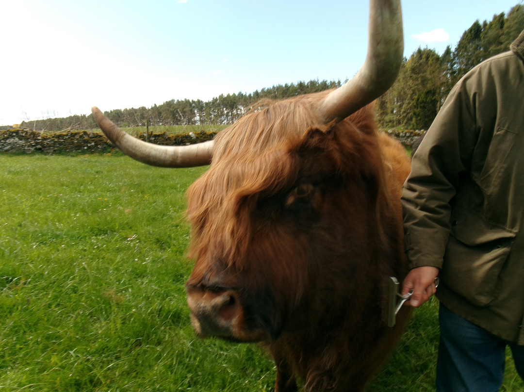 Newton Farm Holidays & Tours主图