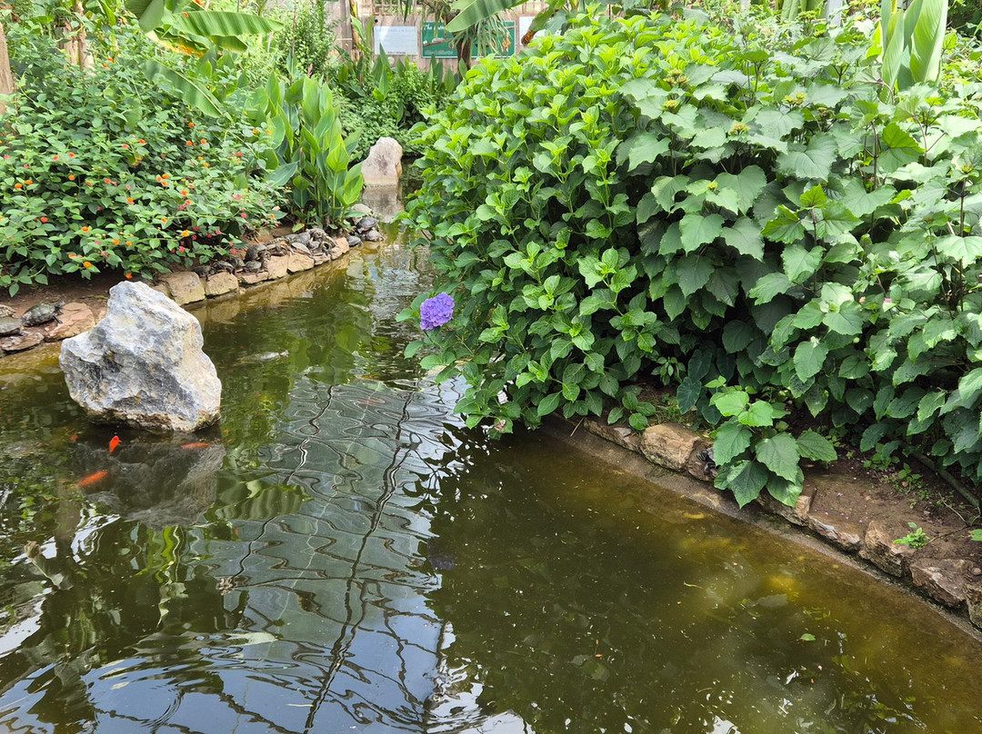 Buckfast Butterfly Farm And Dartmoor Otter Sanctuary-Buckfastleigh必去景点