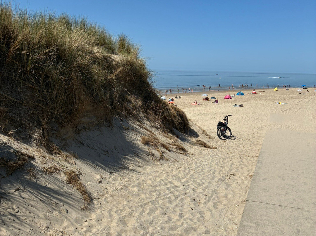 Petten aan zee-Petten必去景点