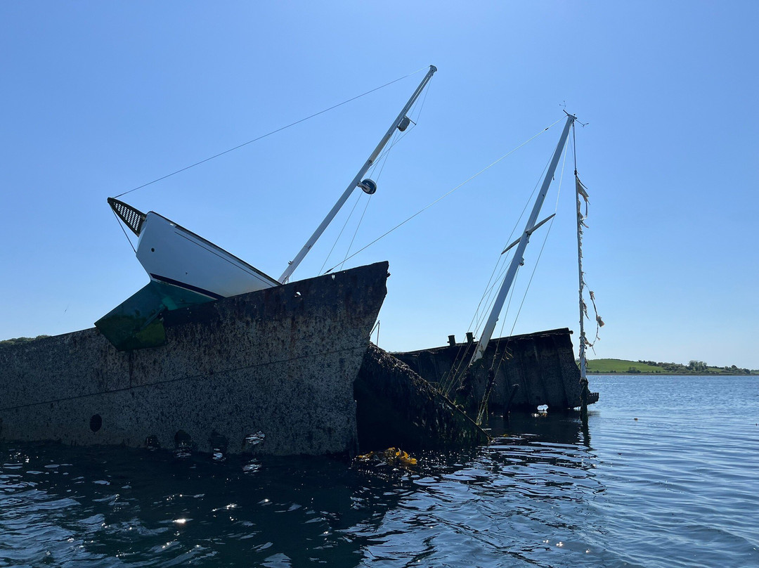 Strangford Boat Excursions-Strangford必去景点