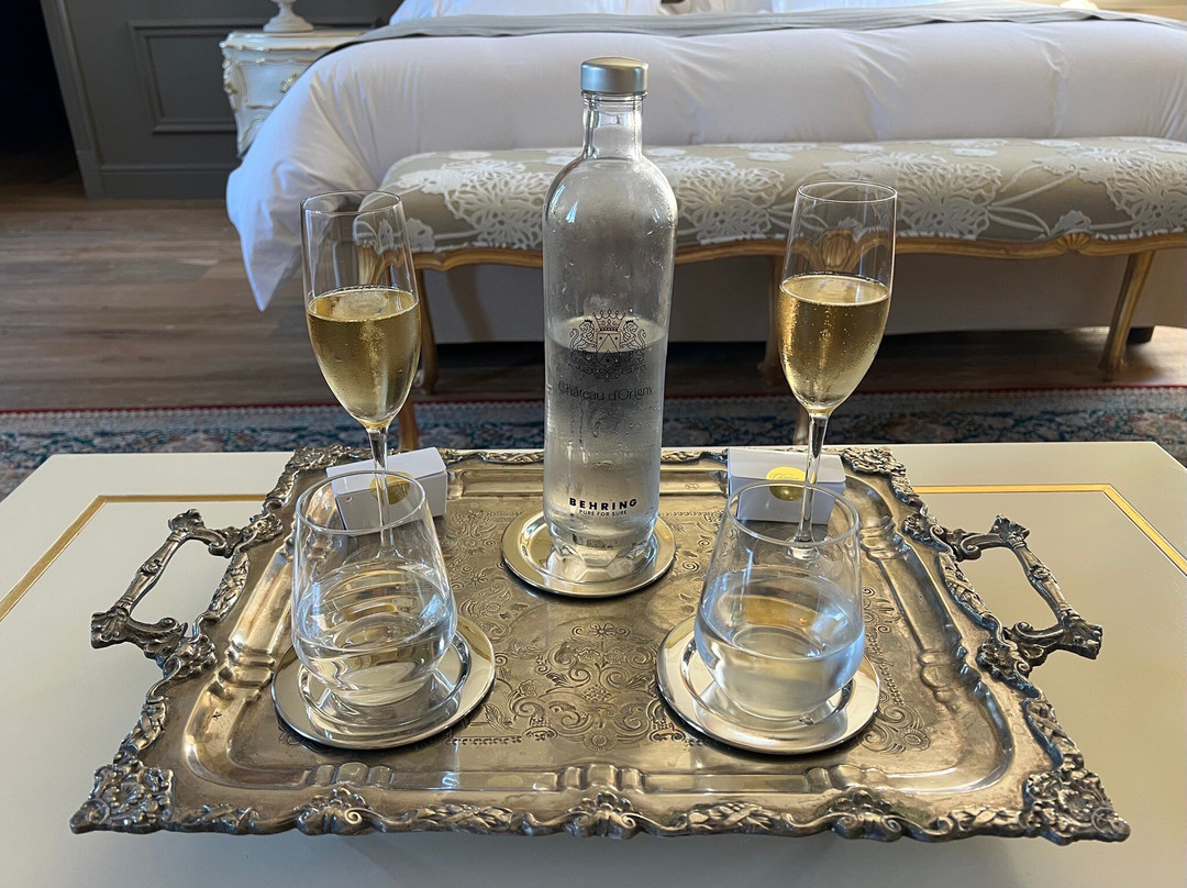 奥利尼城堡酒店主图