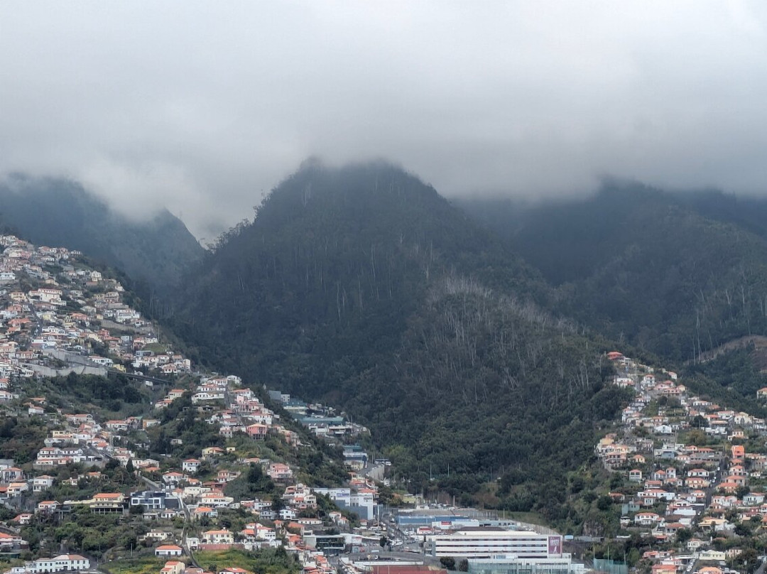 Miradouro Pico Dos Barcelos-沙尔必去景点