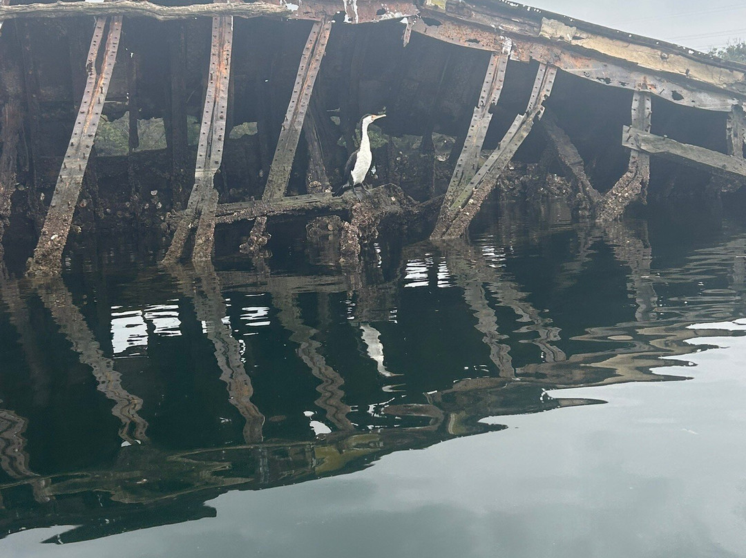 Adelaide Dolphin Sanctuary-Port Adelaide必去景点