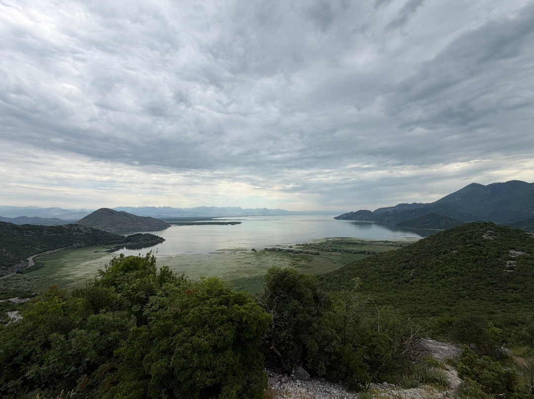 Shkodra Lake-Shkoder必去景点