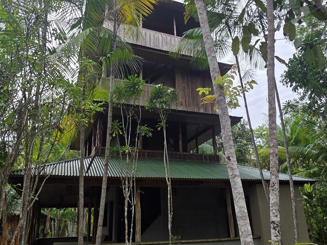 Amazon Antonio Jungle Tours-玛瑙斯必去景点