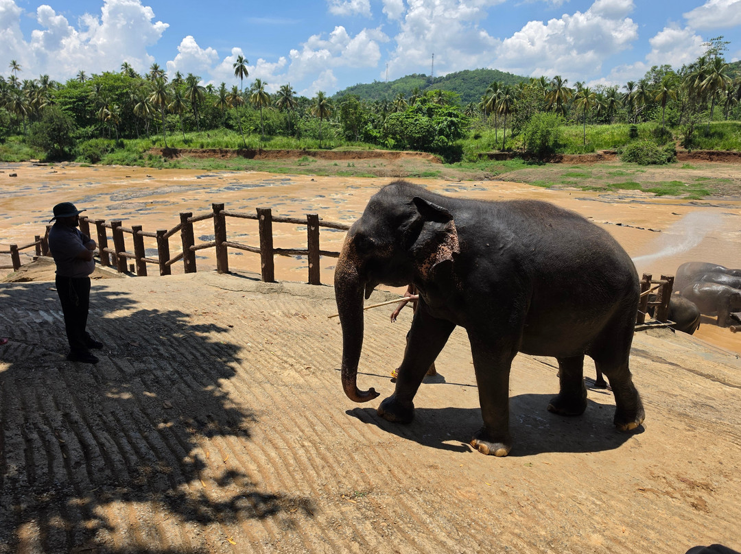 Heavenly Lanka Vacations-Lindfield必去景点