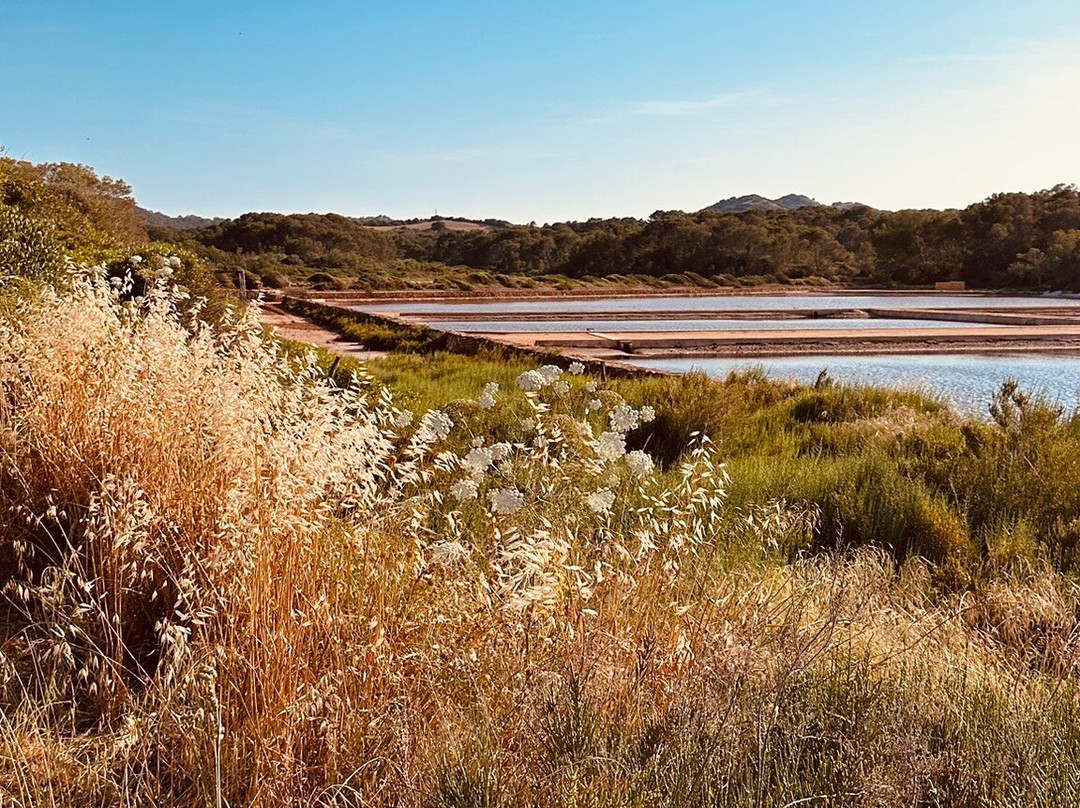 Sal de Menorca - Salinas de La Concepción-Mercadal必去景点