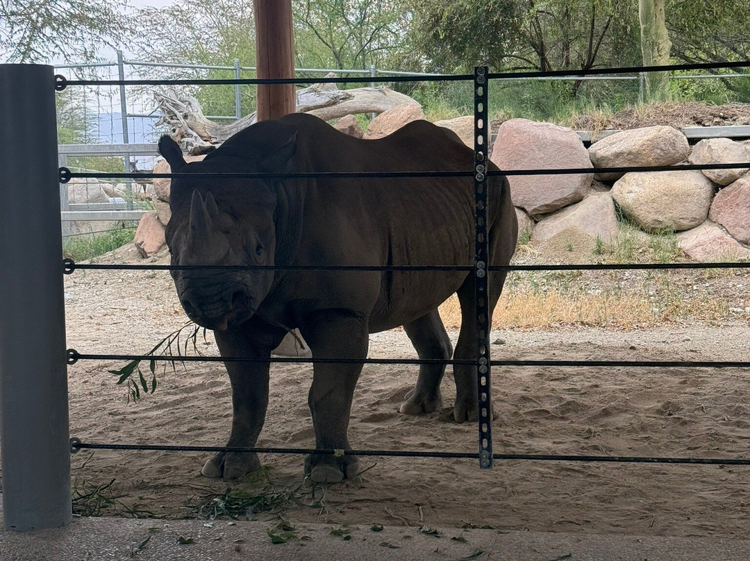 The Living Desert Zoo and Gardens-棕榈沙漠必去景点