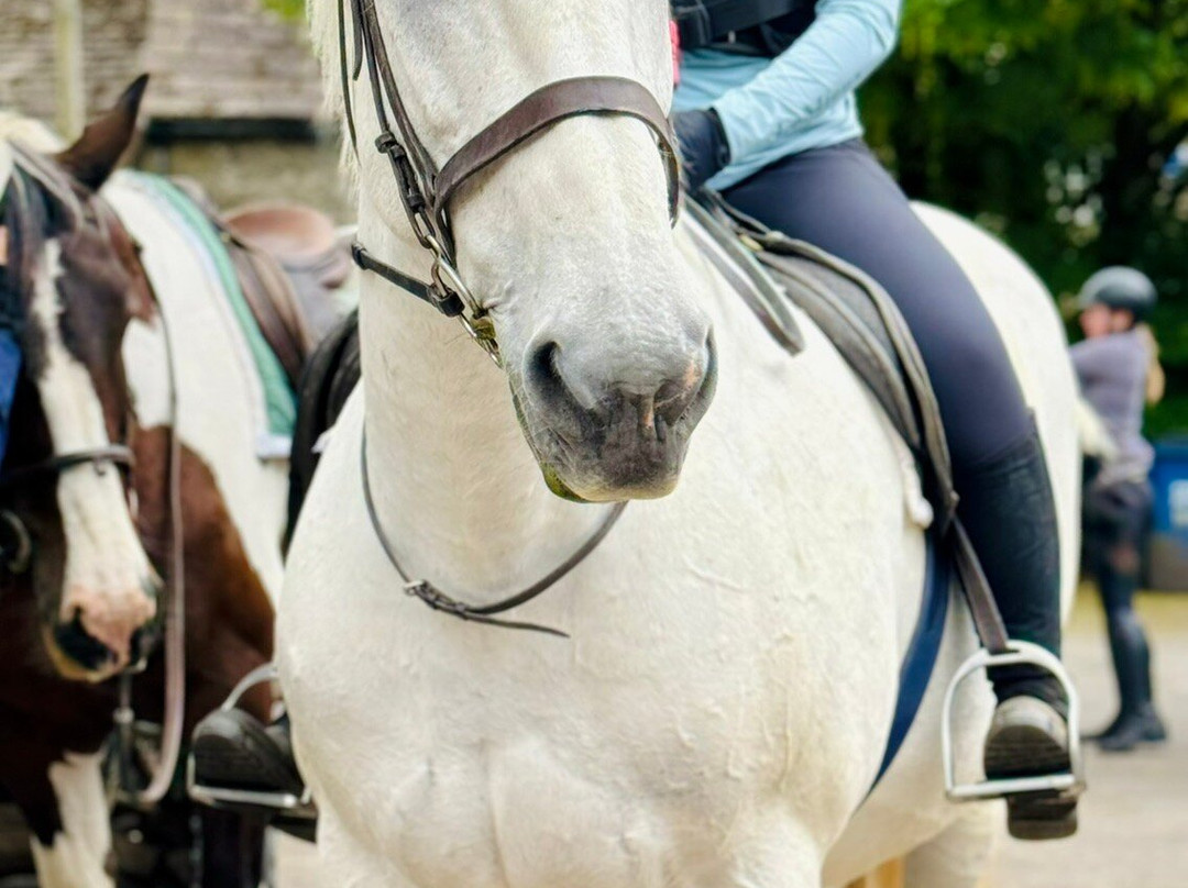 Kilnsey Trekking & Riding Centre-斯基普顿必去景点