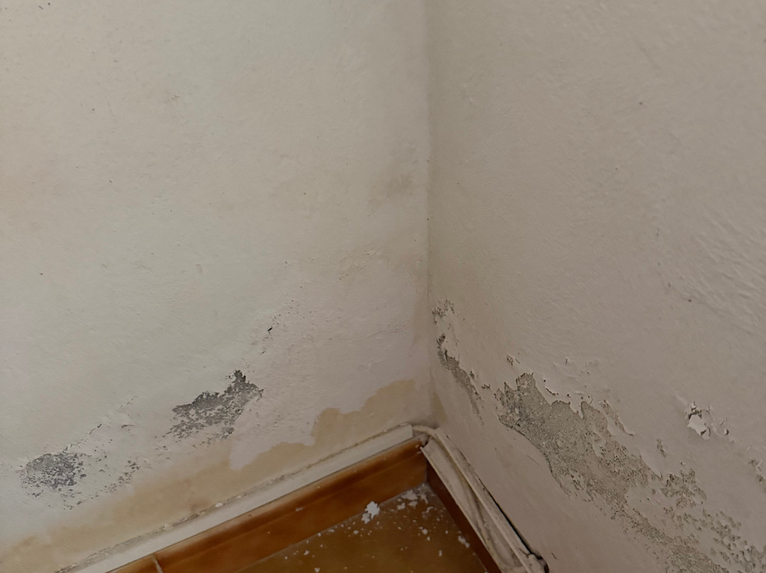 雷纳克里斯蒂娜全球住宿主图