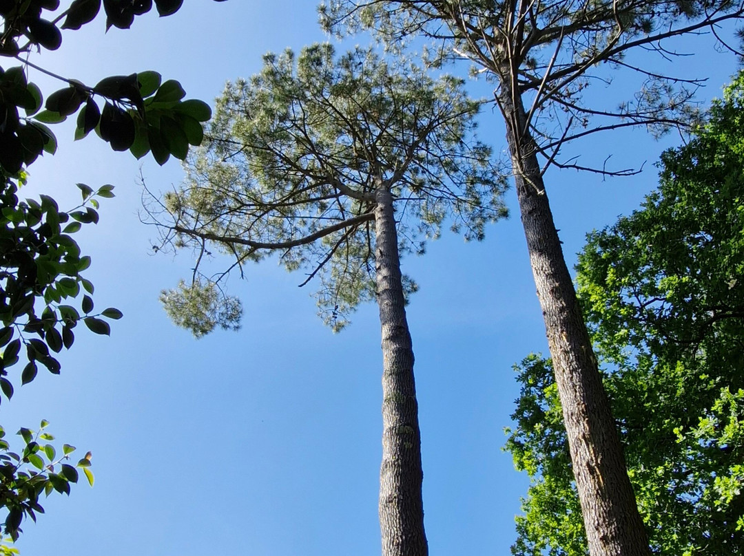 Parc Botanique de Cornouaille-孔布里必去景点
