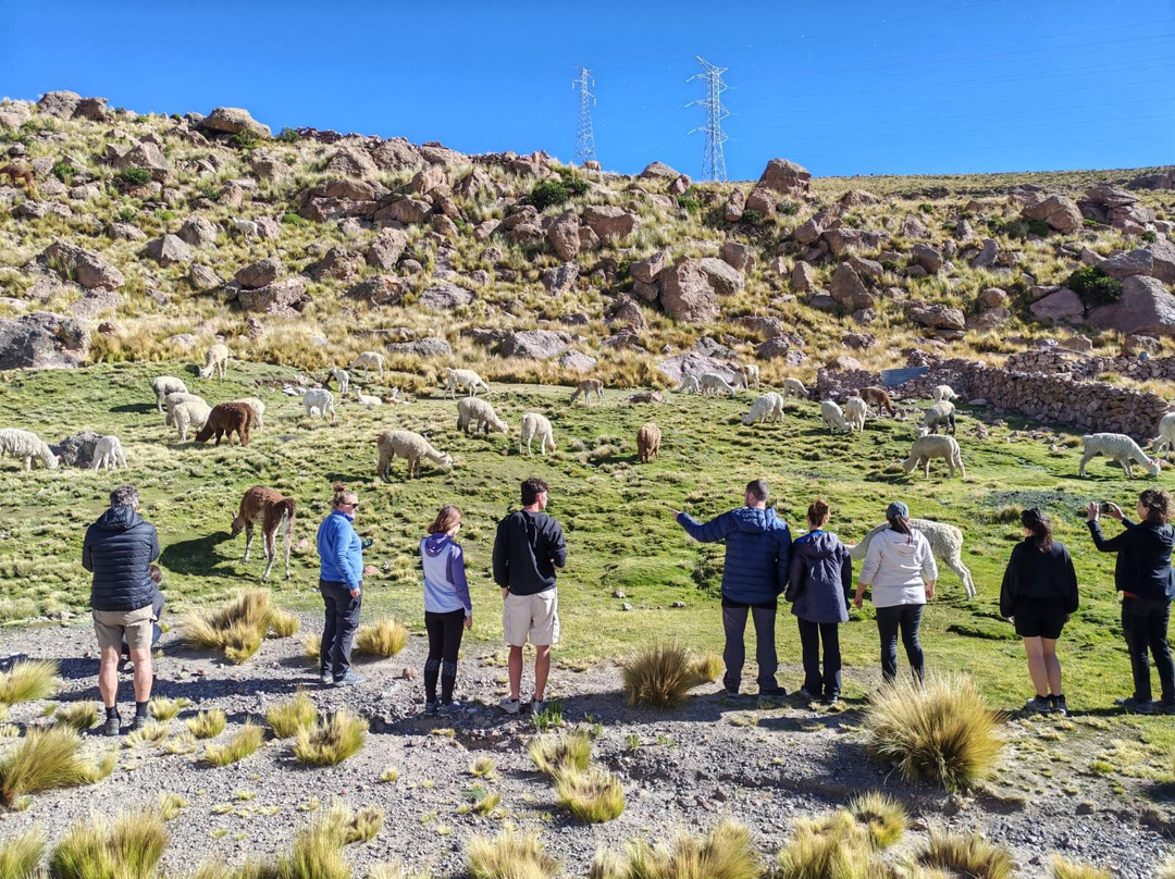 Amaranta Travel Peru-Yanque必去景点
