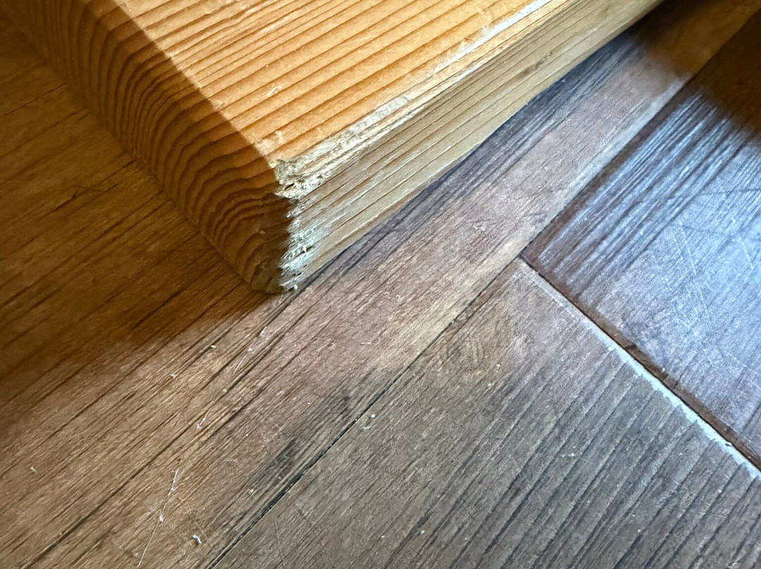 鲁贝萨赫鲍迪酒店主图
