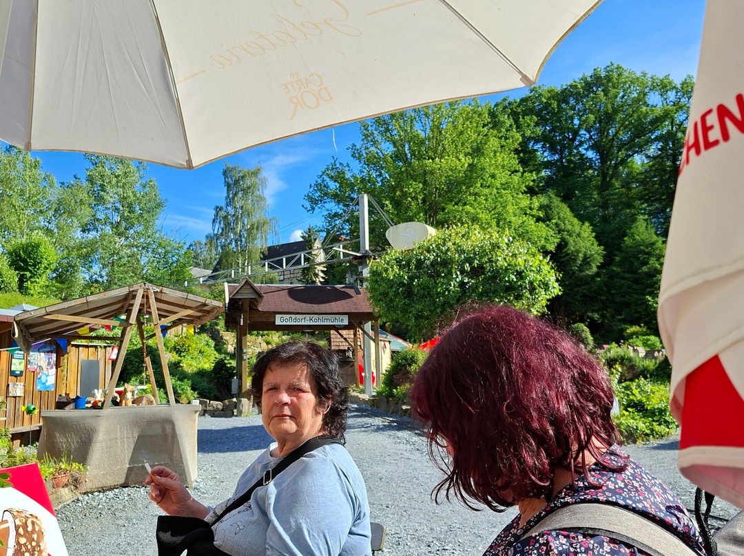 Miniaturpark Die Kleine Sächsische Schweiz-Stadt Wehlen必去景点