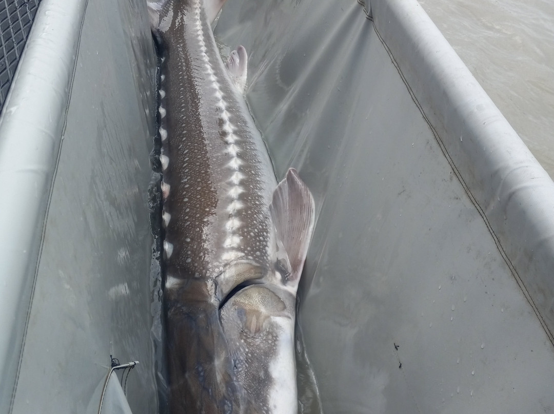 Mainlanders Sport Fishing-奇利瓦克必去景点