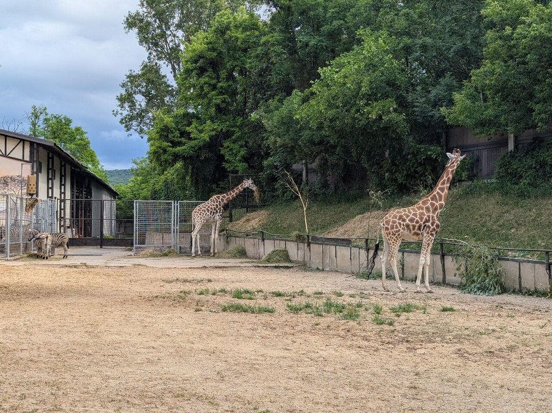 ZOO Bratislava-布拉迪斯拉发必去景点