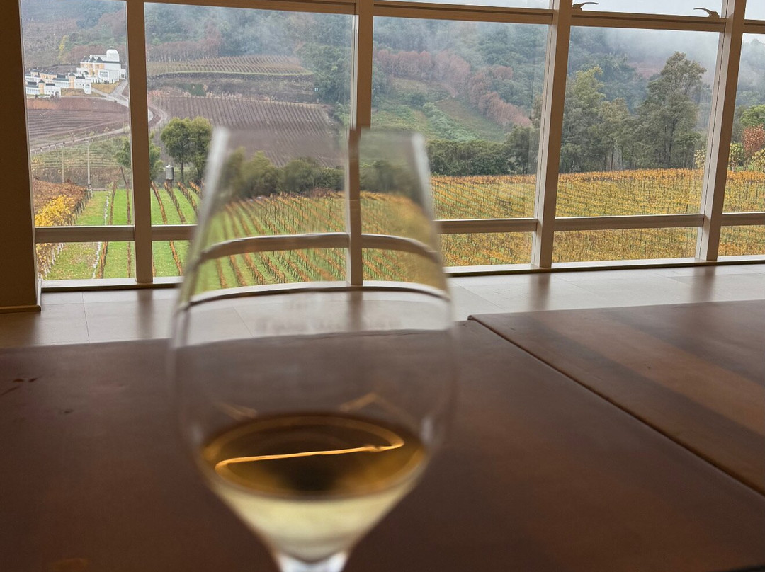 Casa Valduga Winery-本图贡萨尔维斯必去景点