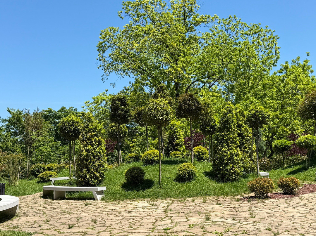 Batumi Botanical Gardens-巴统必去景点