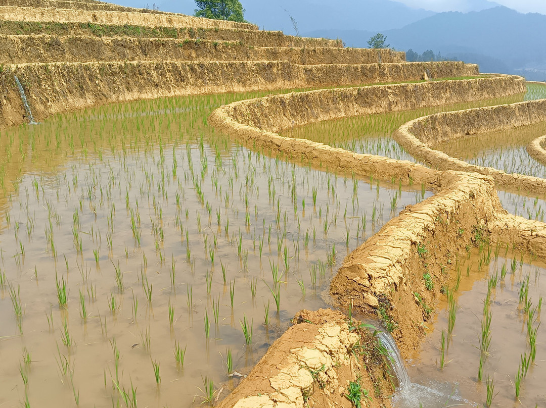 Hmong Immersive Journey-Mu Cang Chai必去景点