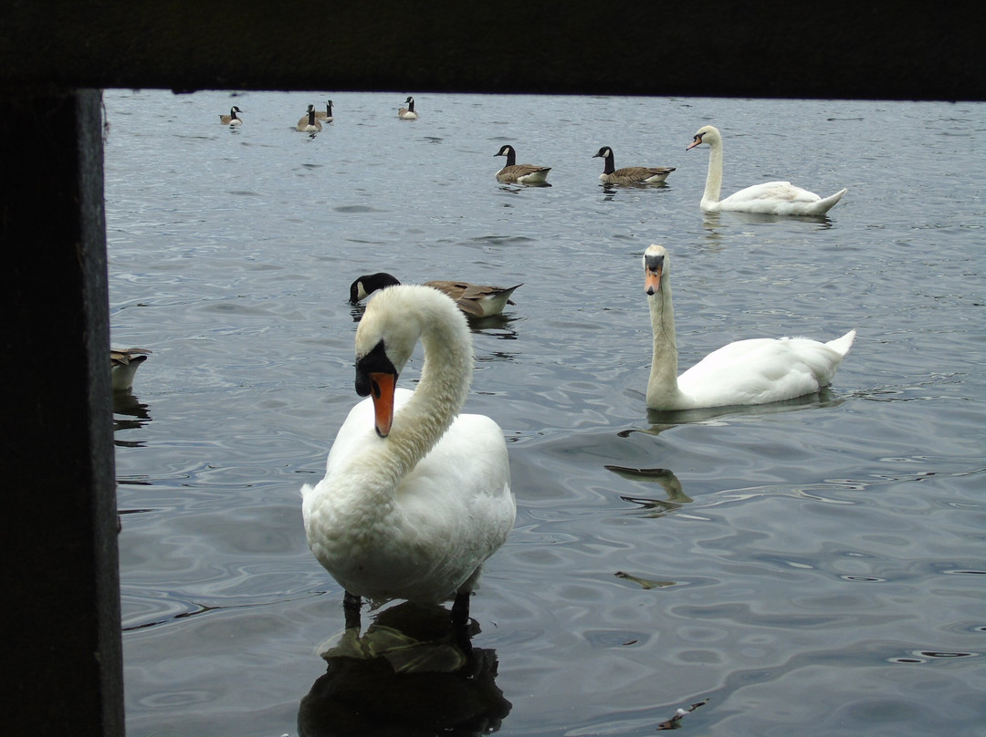 Attenborough Nature Centre-Attenborough必去景点