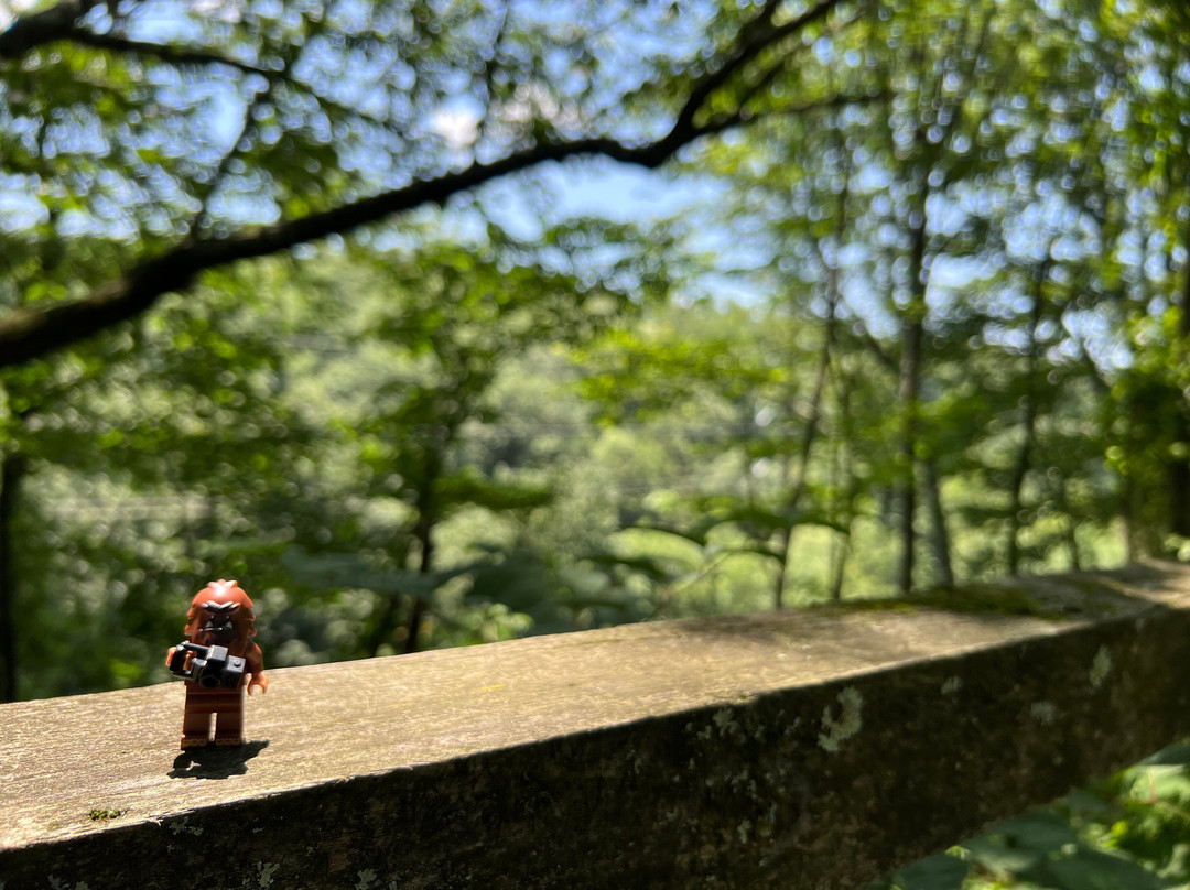 Nay Aug Park-斯克兰顿必去景点