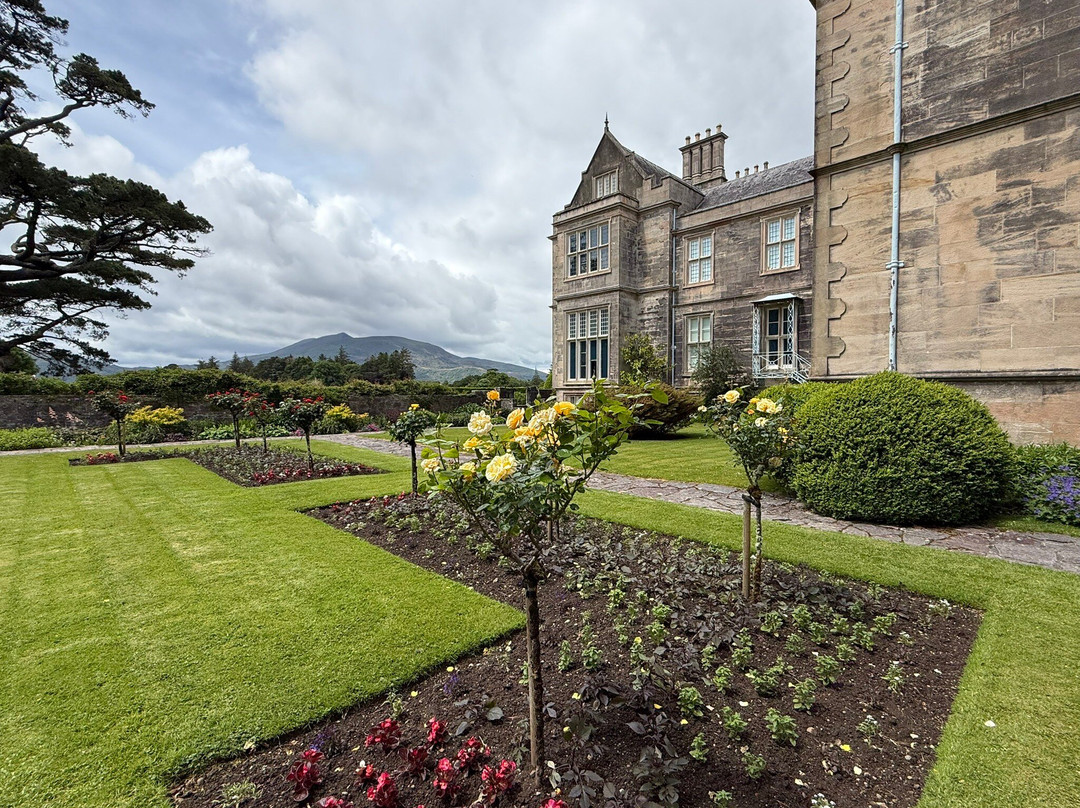 Muckross House, Gardens & Traditional Farms-基拉尼必去景点