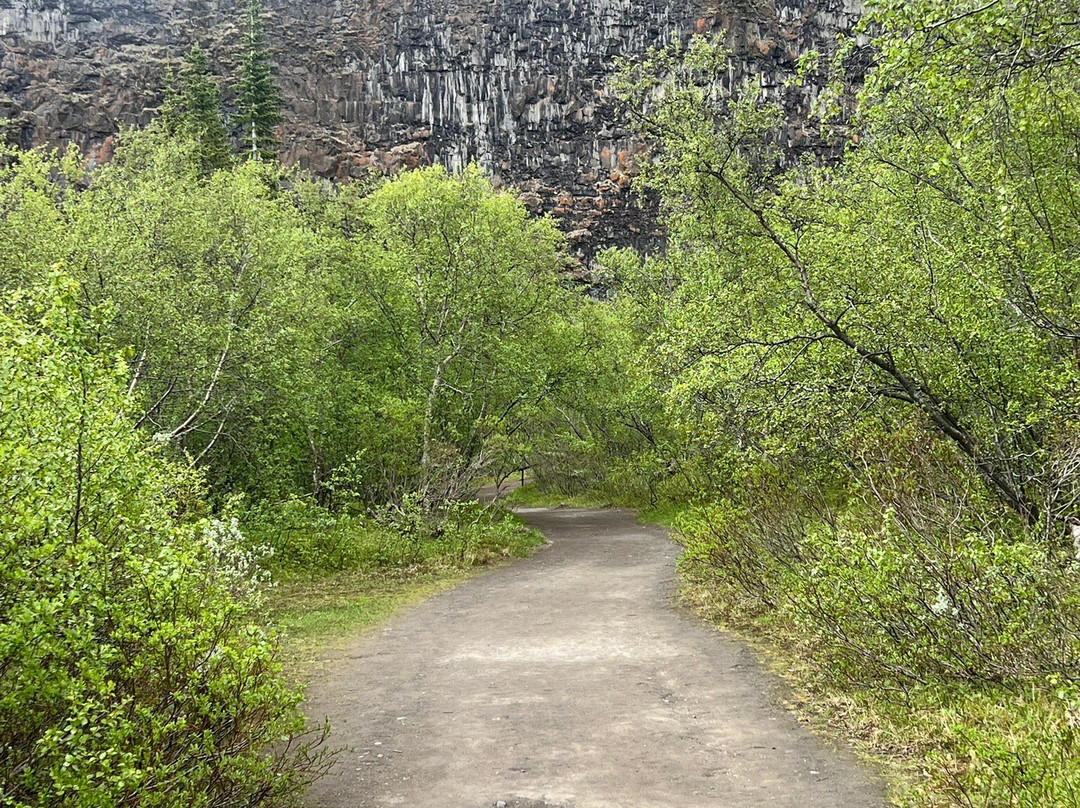 Asbyrgi (Shelter of the Gods)-Asbyrgi必去景点