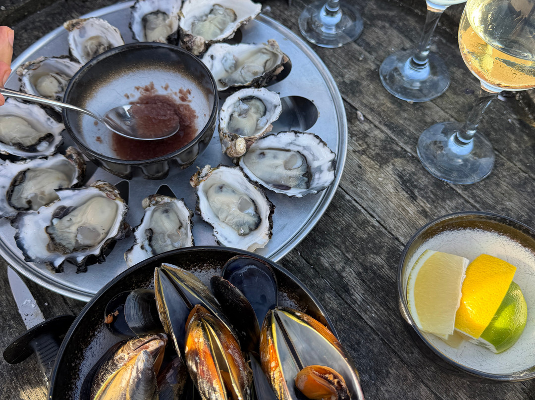 Oyster Bay Tours-科尔斯湾必去景点