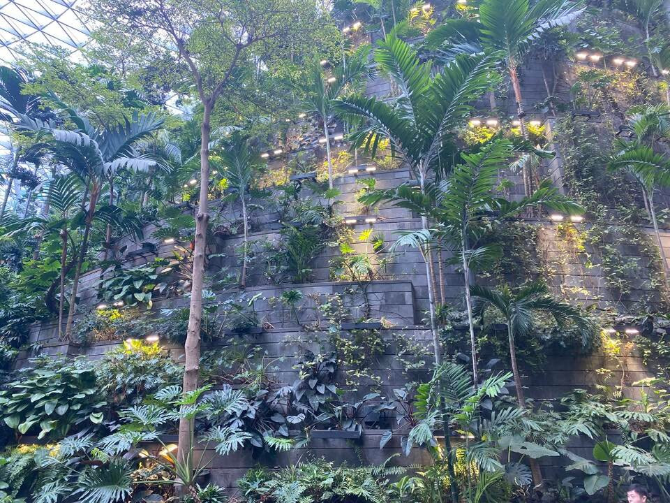 Jewel Changi Airport-新加坡必去景点