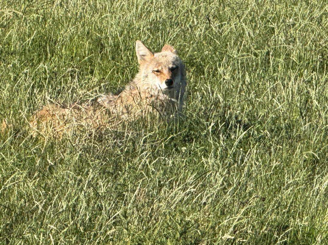 Parc Animalier De Sainte-croix-Rhodes必去景点