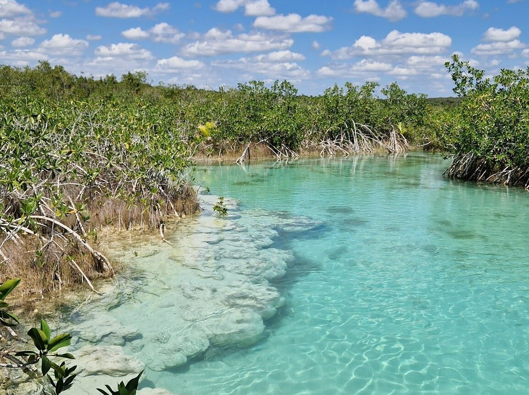 Stromatolites in Bacalar Rapids-Bacalar必去景点
