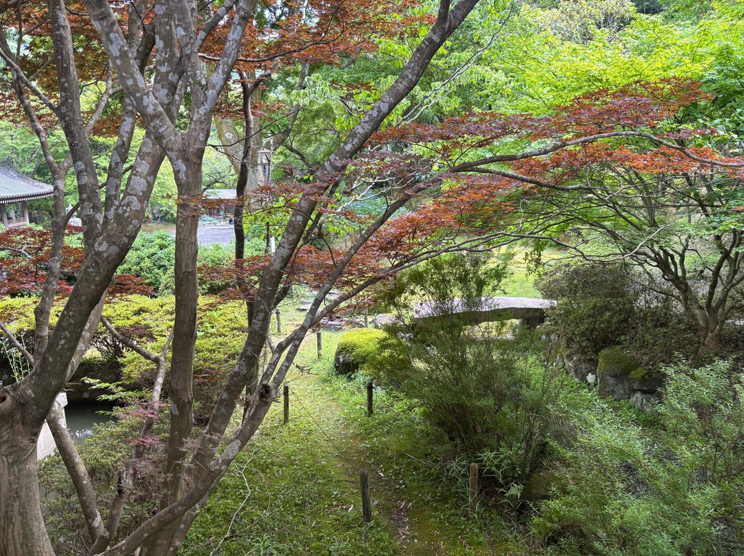 Kyuan-ji Temple-池田市必去景点