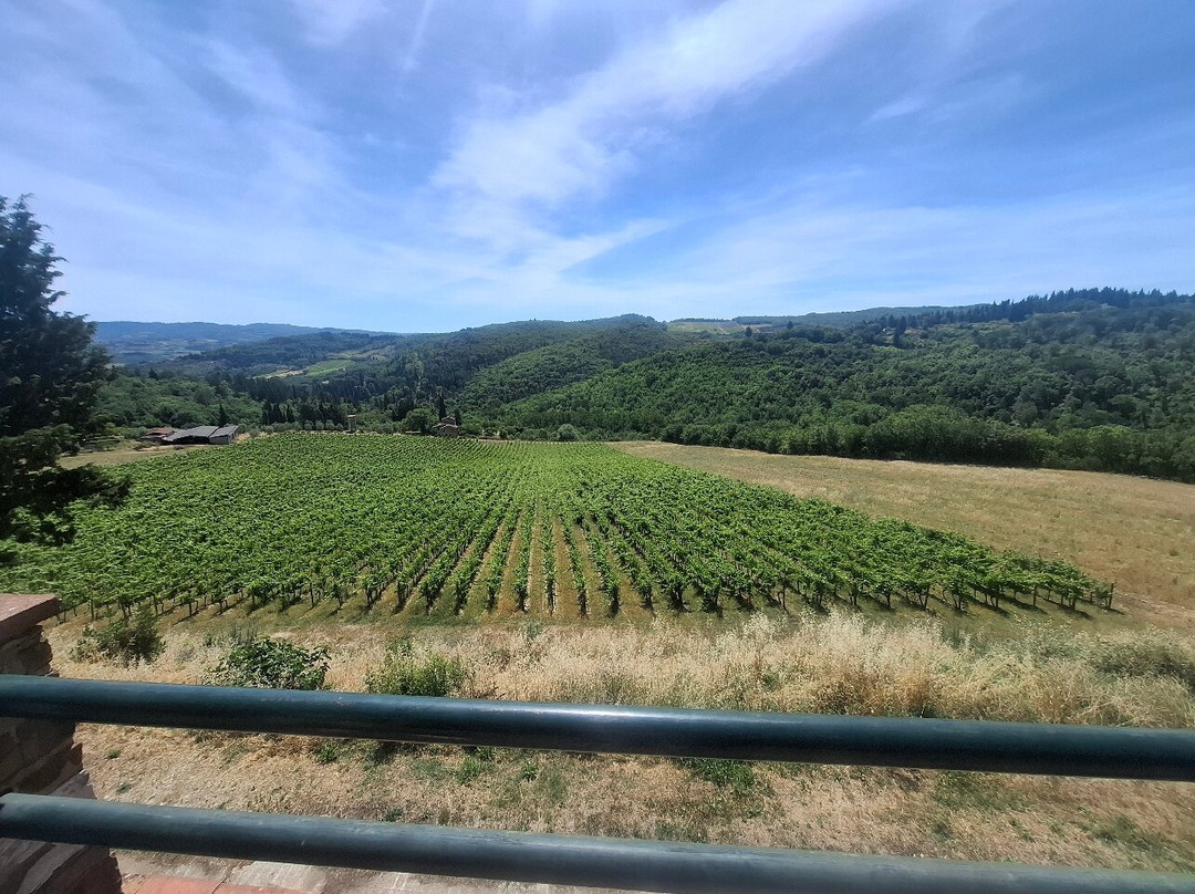 Fattoria di Montecchio-San Donato in Poggio必去景点