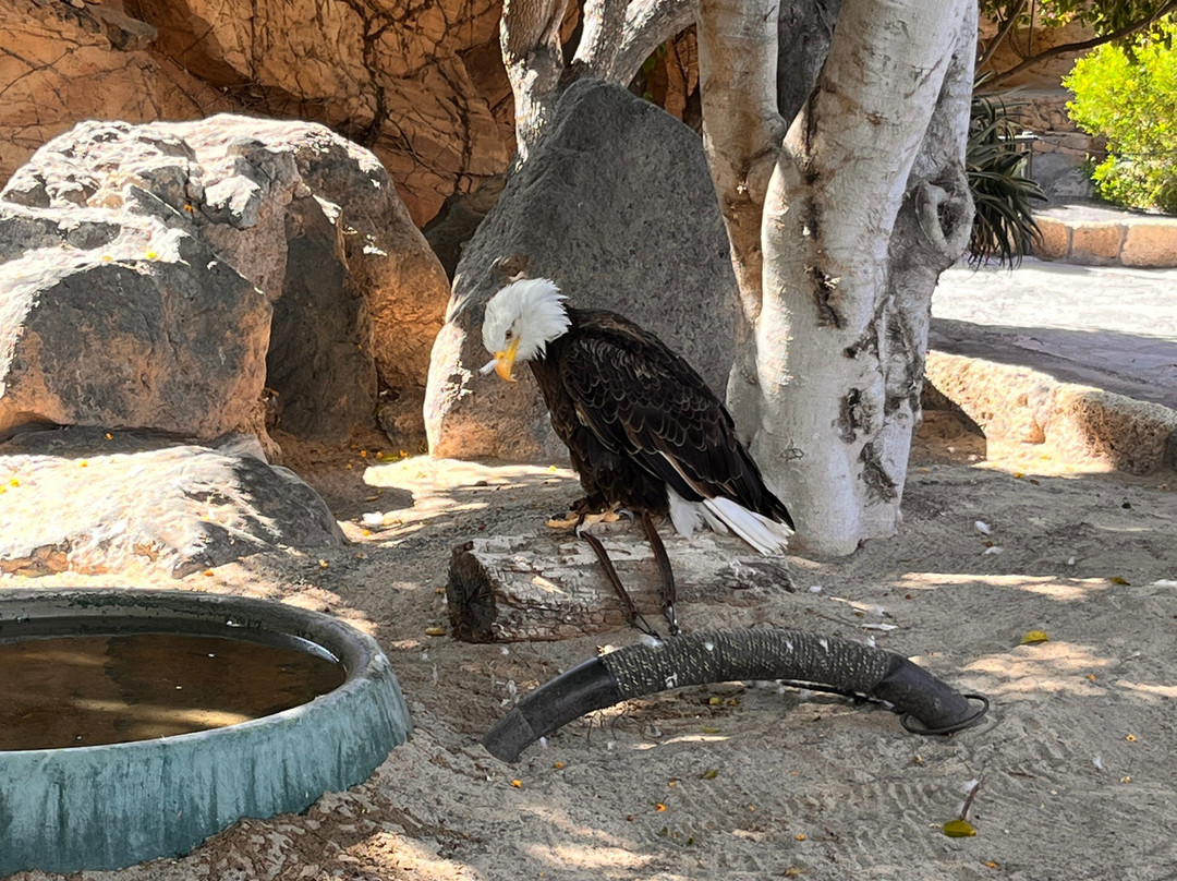 Park Las Aquilas Jungle Park-阿罗纳必去景点
