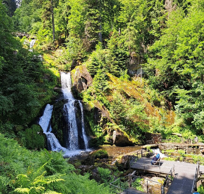 Triberger Waterfall-特里贝格必去景点
