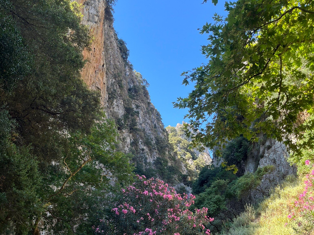 Deliana Gorge-Deliana必去景点