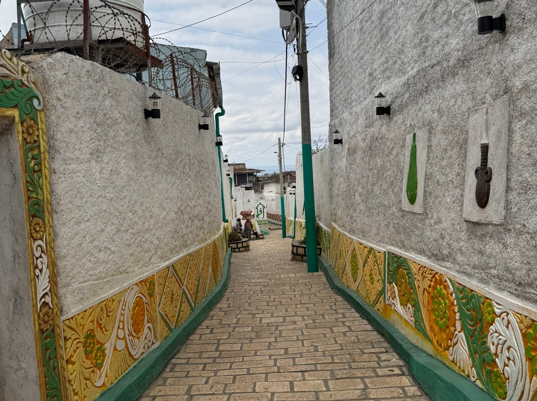 Emaj Harar Tours-哈勒尔必去景点