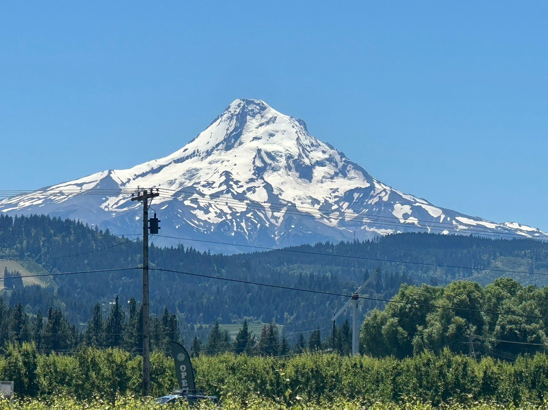 Mount Hood Railroad-胡德里弗必去景点