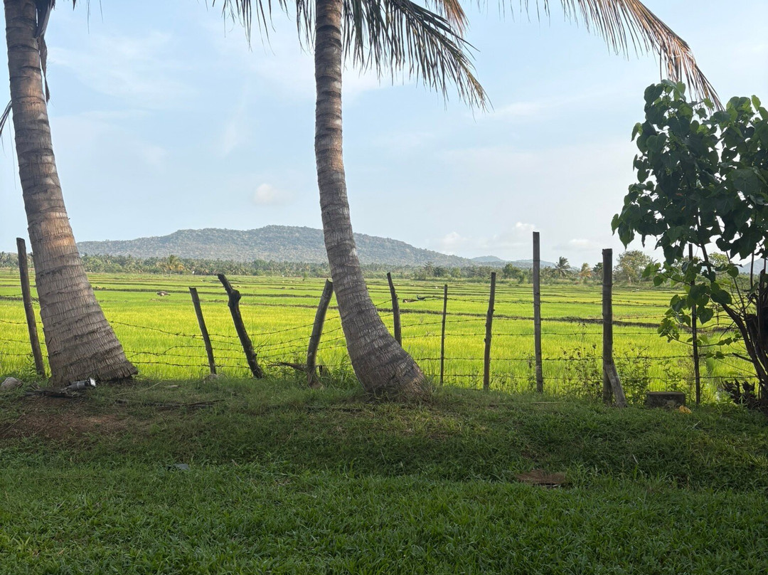 Jaye Wannakumudiyanselage top tour sri lanka-班达拉维拉必去景点
